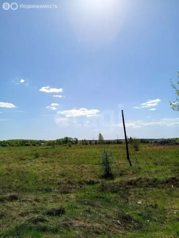 Участок в Пласт, улица Ленина (15 м) - Фото 1