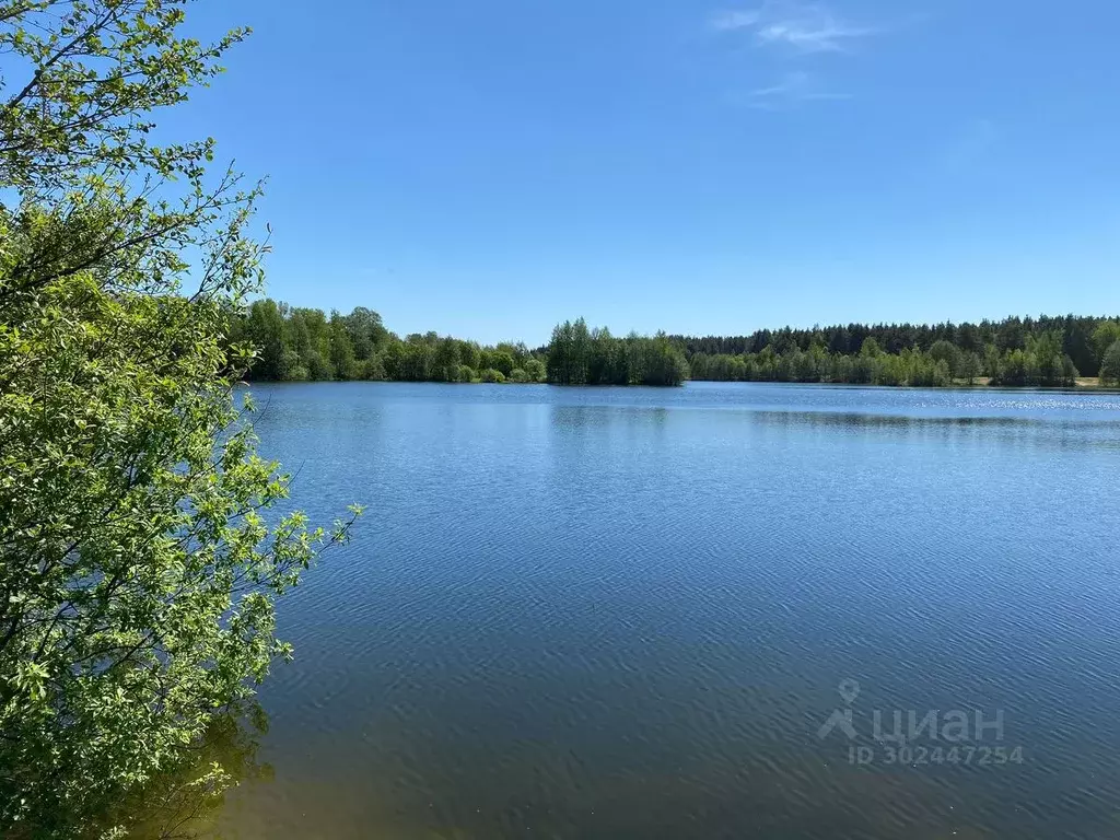 Участок в Московская область, Орехово-Зуевский городской округ, д. ... - Фото 0