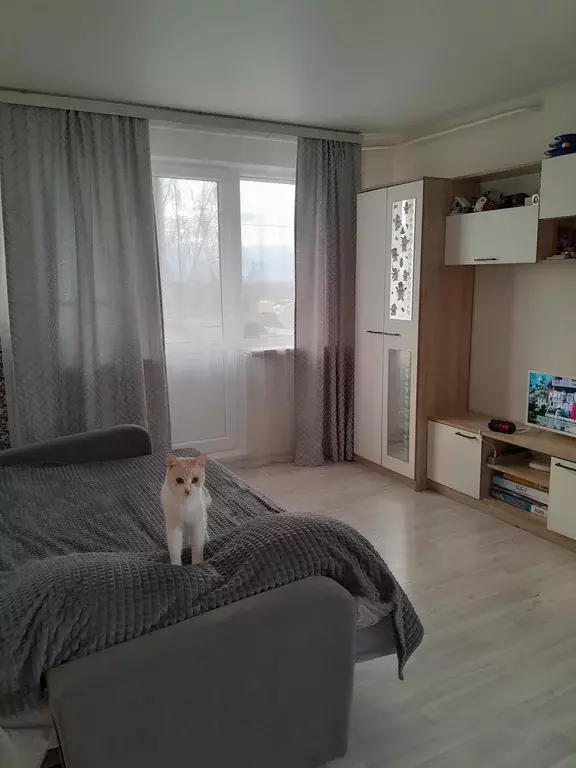 Продаётся 1-к квартира, 31.2 м - Фото 1