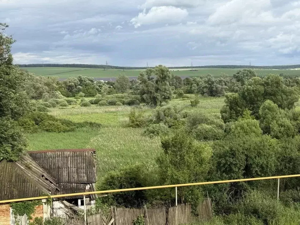 Участок в Белгородская область, Белгородский район, Беловское с/пос, ... - Фото 0