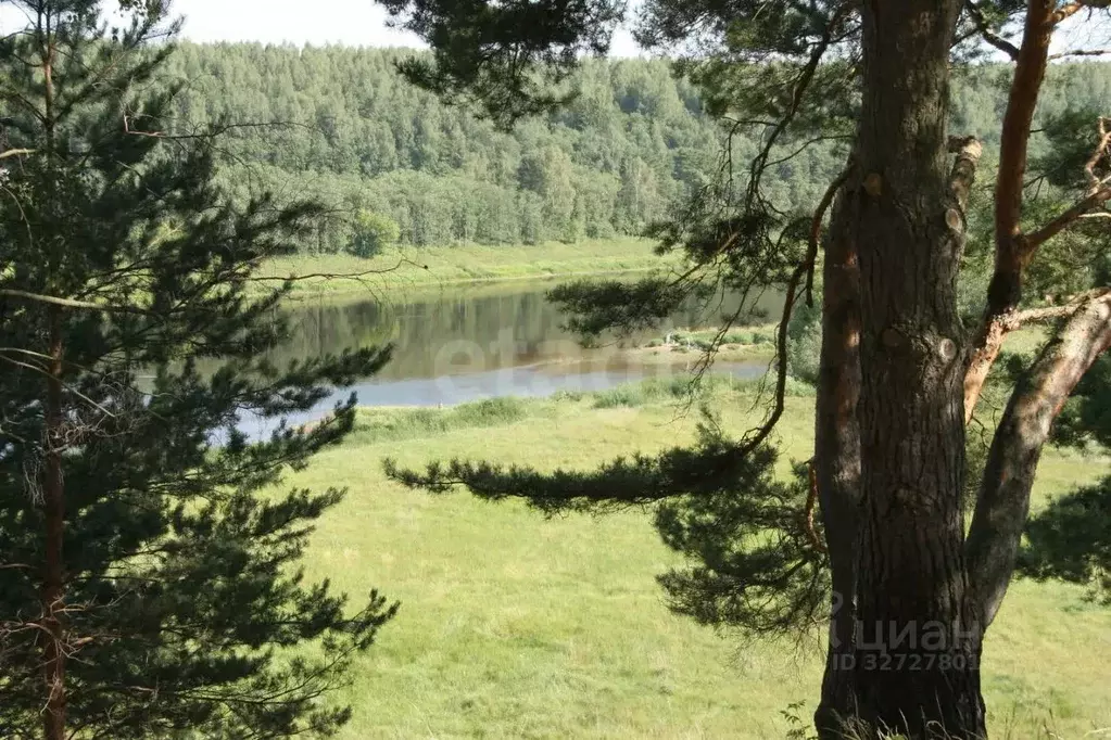 Дом в Тверская область, Зубцовский муниципальный округ, д. Брычево ул. ... - Фото 2