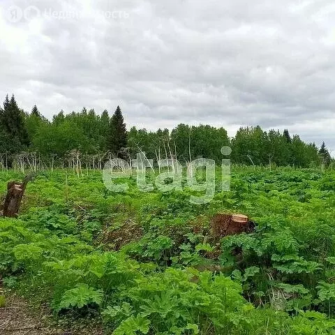 Участок в село Корткерос, улица Новосёлов (15 м) - Фото 1