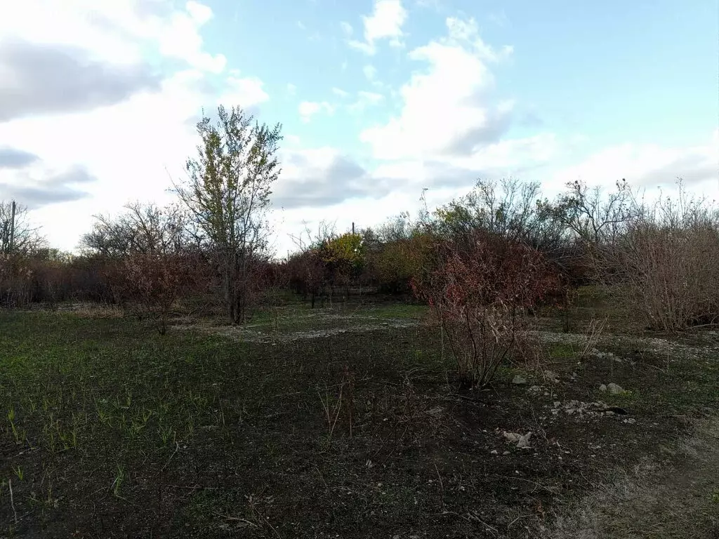 Участок в Ейск, СНТ Садовод (5 м) - Фото 0