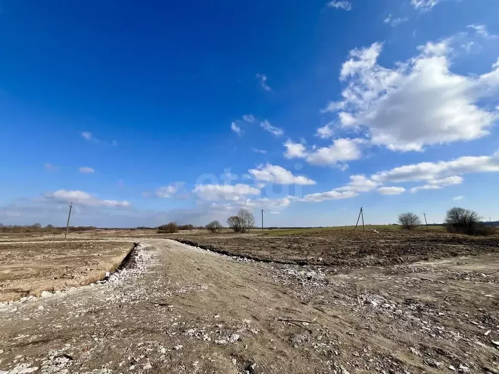 Участок в Калининградская область, Гурьевский муниципальный округ, ... - Фото 2