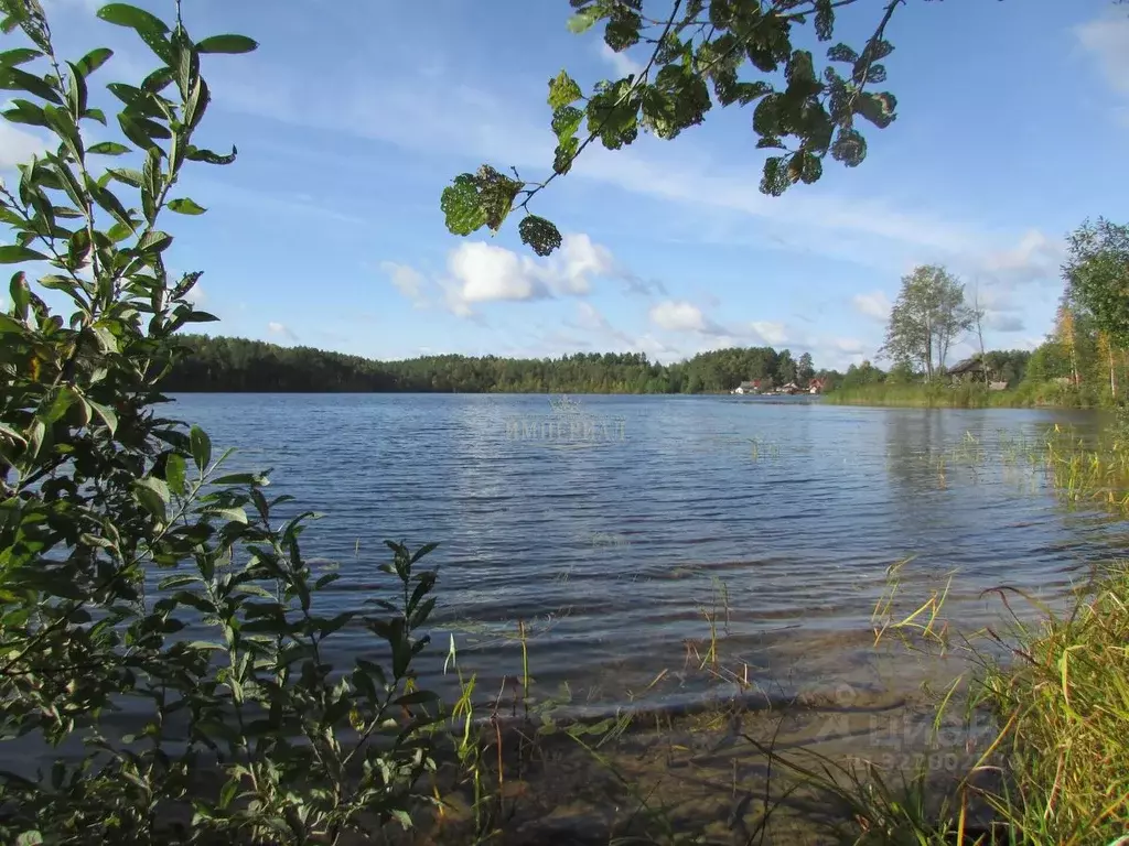 2-к кв. Марий Эл, Килемарский муниципальный округ, пос. Визимьяры ул. ... - Фото 2