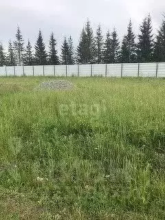 Участок в Новосибирская область, Искитимский район, Мичуринский ... - Фото 1