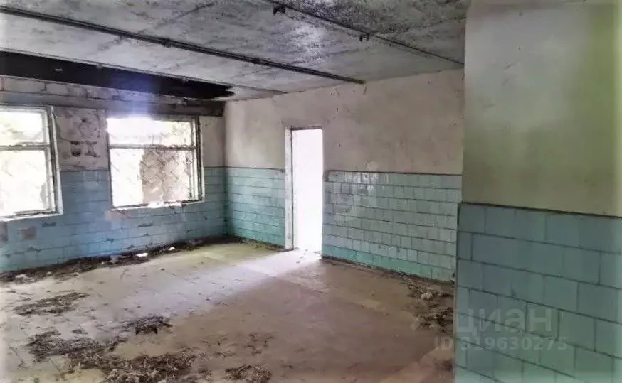 Торговая площадь в Крым, Раздольненский район, Славновское с/пос, с. ... - Фото 1