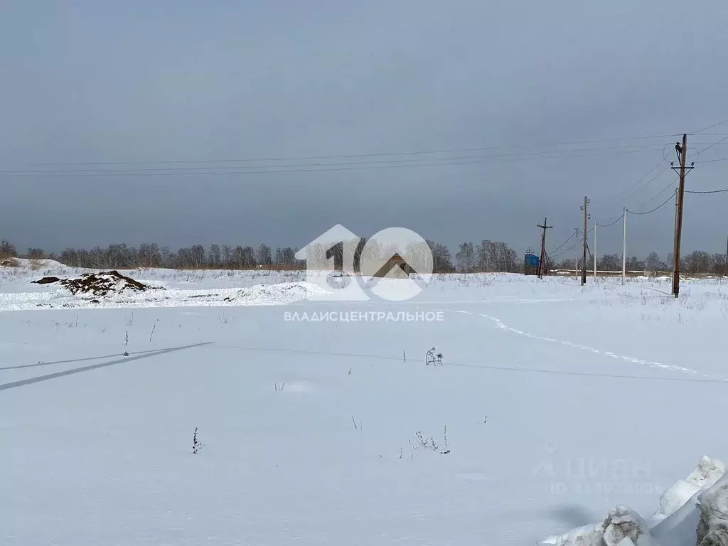 Участок в Новосибирская область, Новосибирский район, Кубовинский ... - Фото 0