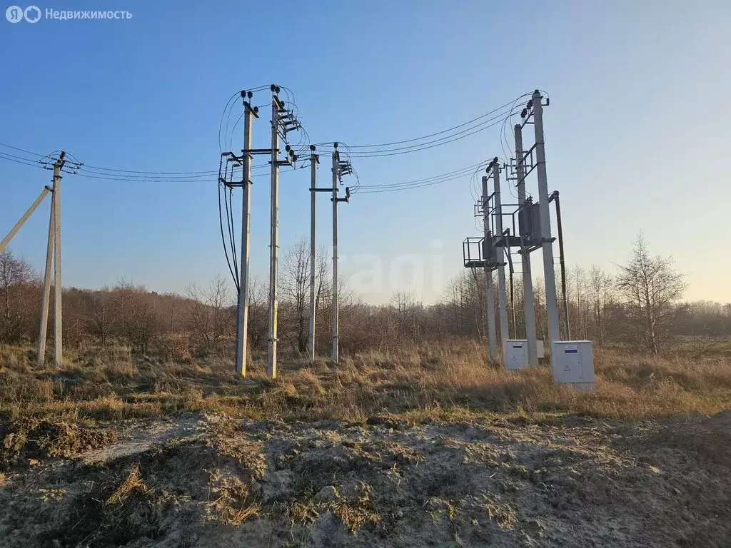 Участок в посёлок Лесное, Янтарная улица (7 м) - Фото 2