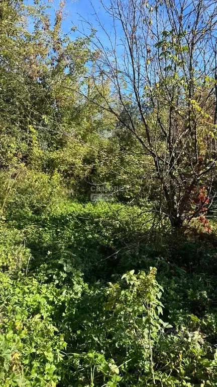 Дом в Рязанская область, Рязань пос. Мехзавода, ул. Павловская (40 м) - Фото 1