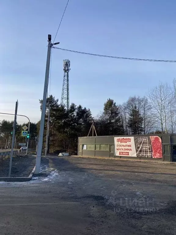 Помещение свободного назначения в Ленинградская область, Всеволожский ... - Фото 1