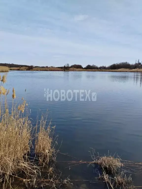 Дом в Краснодарский край, Гулькевичский район, Скобелевская ст-ца ... - Фото 2