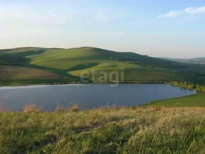 Участок в Алтай, Майминский район, с. Подгорное Центральная ул. (10.0 ... - Фото 2