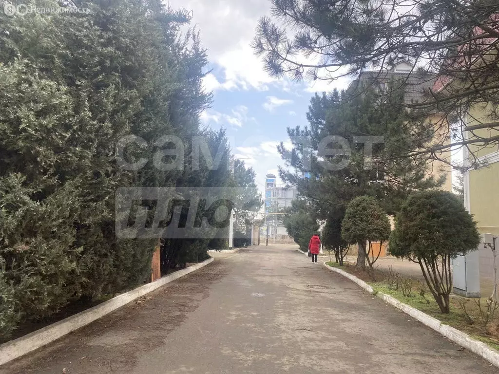 Квартира-студия: Николаевка, Чудесная улица, 2/58 (14.5 м) - Фото 2