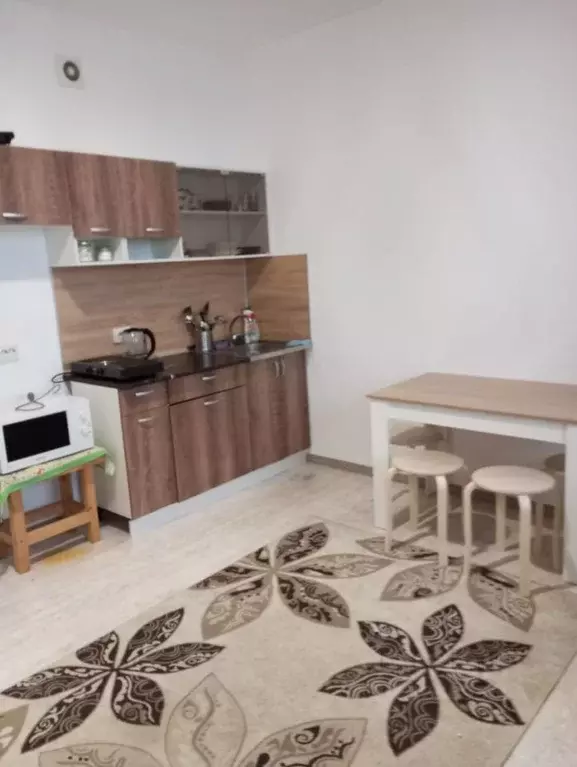 Студия Санкт-Петербург ул. Плесецкая, 10 (23.7 м) - Фото 1