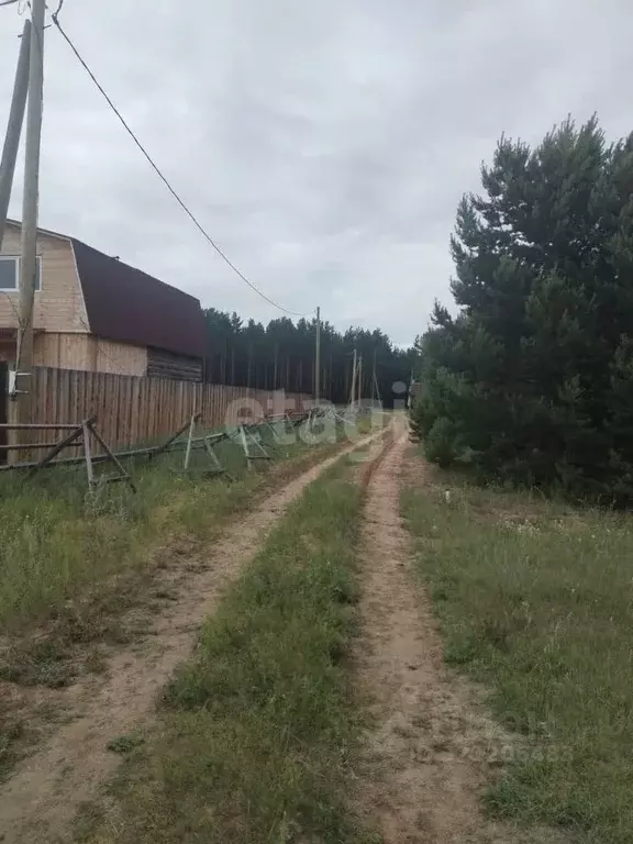 Участок в Бурятия, Баргузинский район, Усть-Баргузин пгт, Лопатки ... - Фото 1