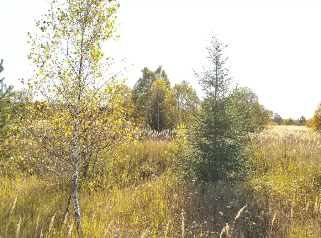 Участок в Московская область, Наро-Фоминский городской округ, д. ... - Фото 0