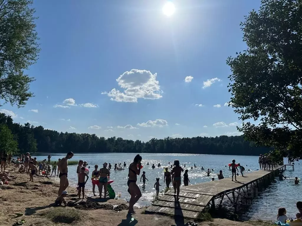 Участок в Ленинградская область, Приозерский район, Ромашкинское ... - Фото 1
