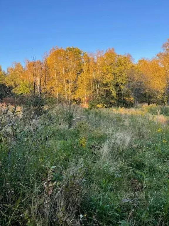 Участок в Хабаровский край, Хабаровск Эмалировщик СНТ, 111 (20.0 сот.) - Фото 0