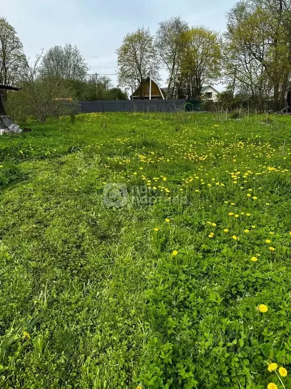 Участок в Ленинградская область, Гатчинский район, с. Воскресенское ... - Фото 1