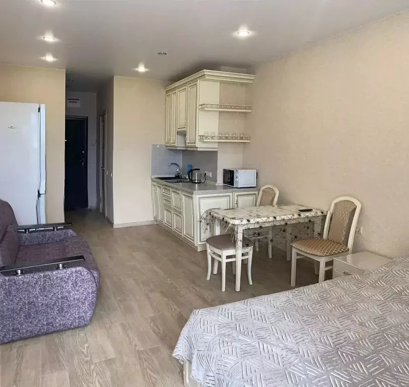 Студия Краснодарский край, Сочи городской округ, Дагомыс пгт ул. ... - Фото 2