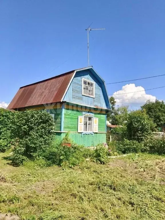 Дом в Новосибирская область, Колыванский район, Электрон СНТ  (45 м) - Фото 0