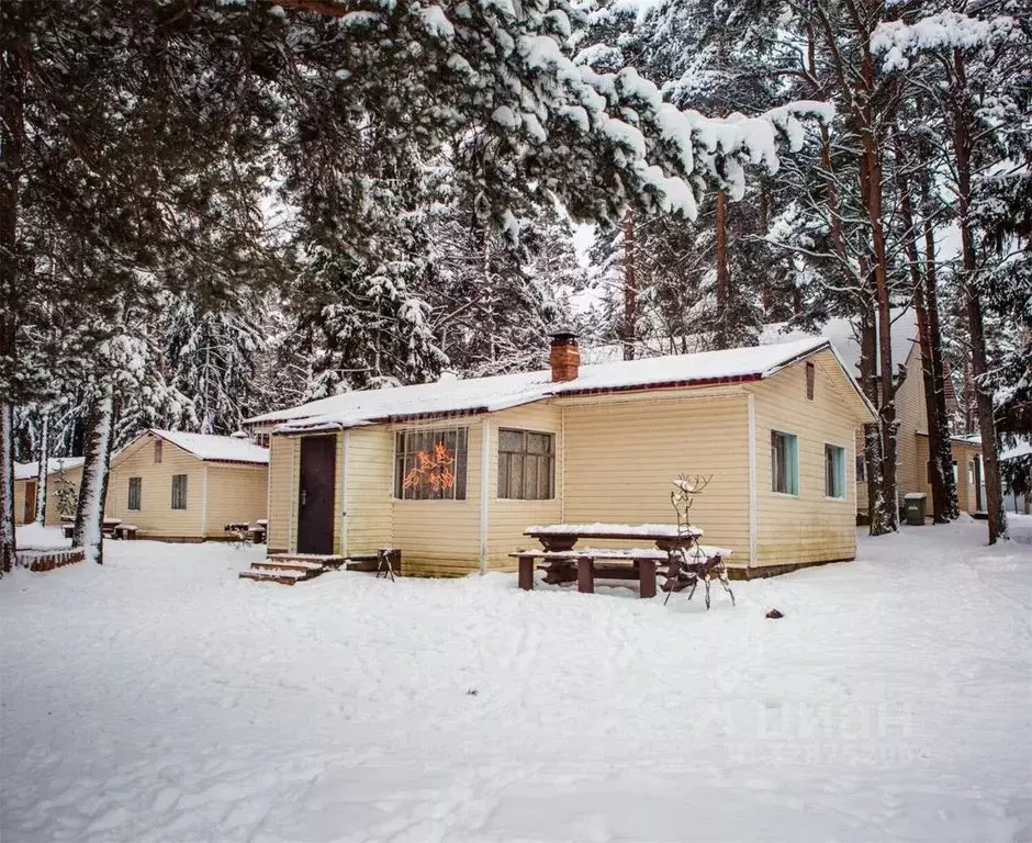 Дом в Псковская область, Гдов  (50 м) - Фото 1