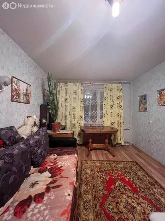 3-комнатная квартира: Санкт-Петербург, улица Партизана Германа, 24 ... - Фото 2