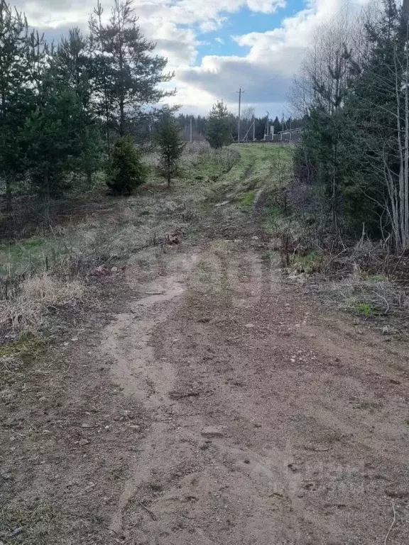Участок в Вологодская область, пос. Уткино ул. Центральная (29.6 сот.) - Фото 2