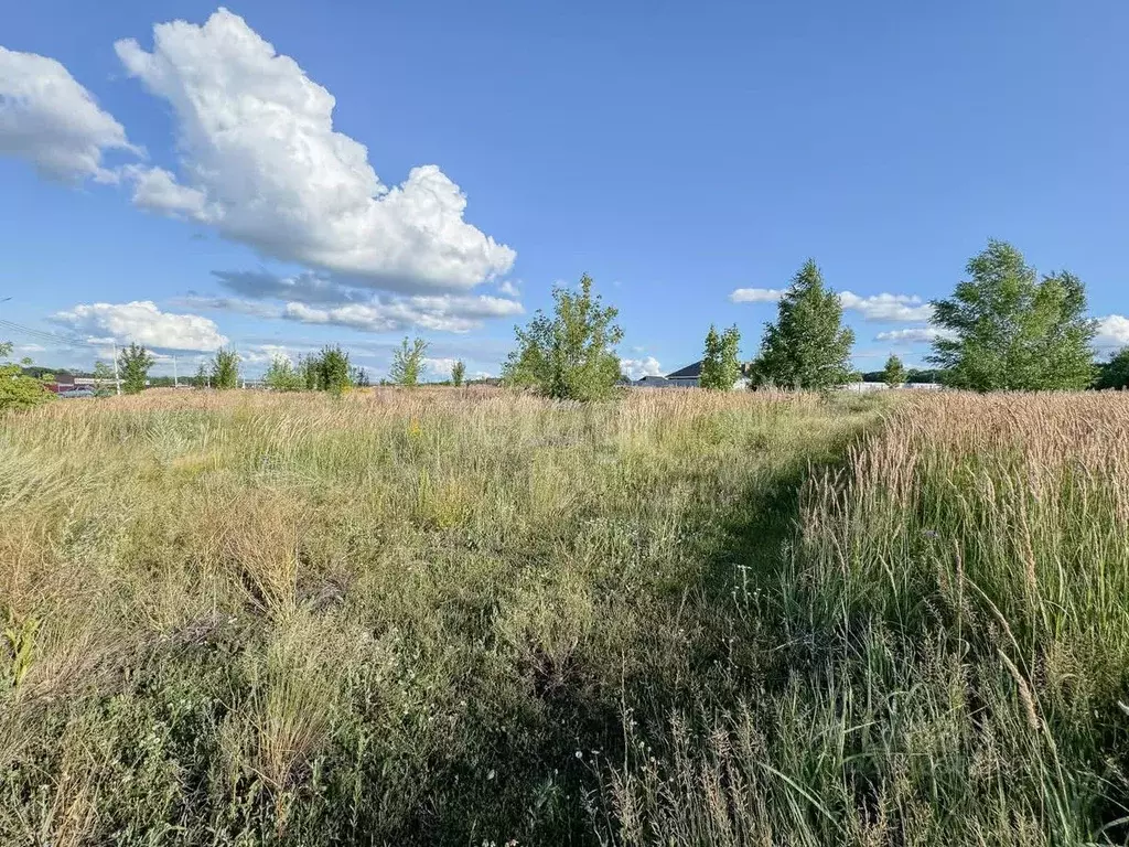 Участок в Мордовия, Саранск городской округ, Николаевка рп ул. ... - Фото 1