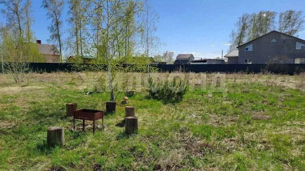 Участок в Новосибирская область, Новосибирский район, с. Боровое ул. ... - Фото 0