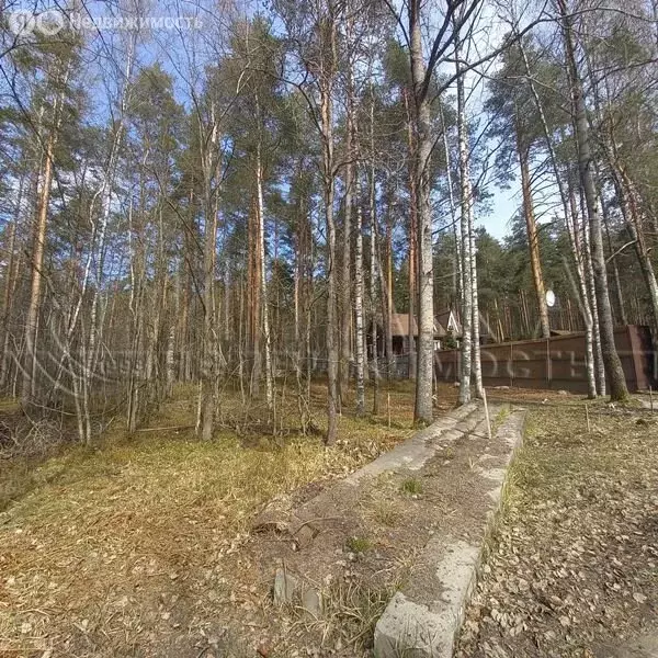 Участок в посёлок Мичуринское, Больничная улица, 5А (11 м) - Фото 2