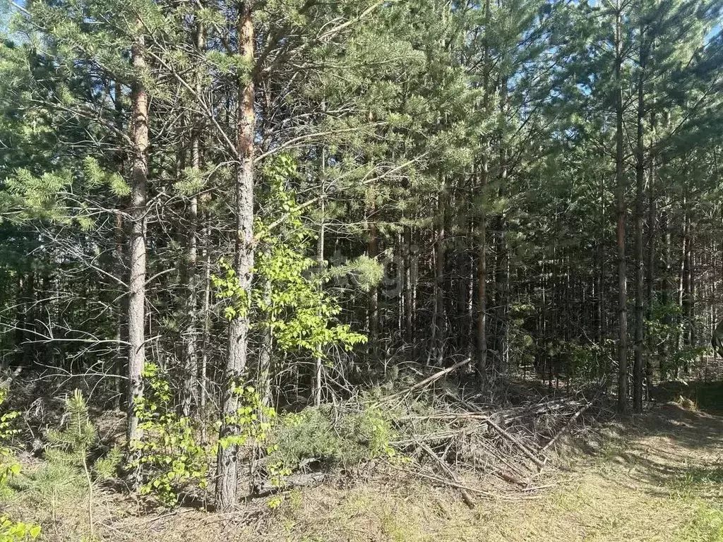 Участок в Свердловская область, Сысертский городской округ, пос. ... - Фото 0