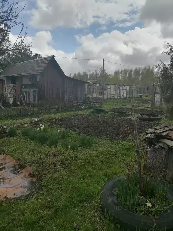 Дом в Нижегородская область, Городецкий муниципальный округ, с. Зиняки ... - Фото 2