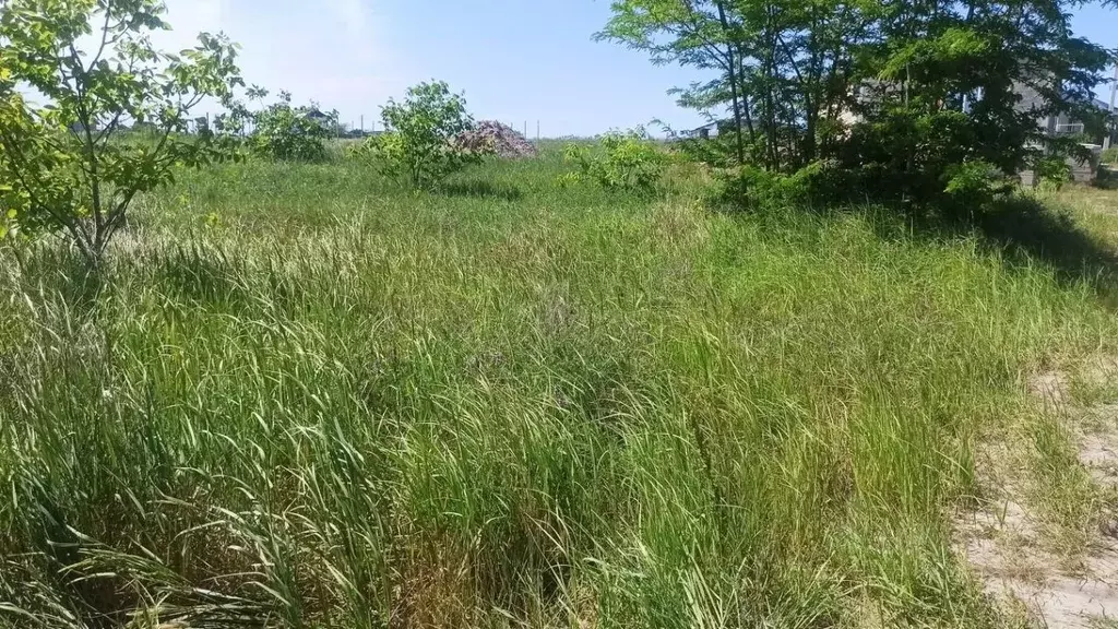 Участок в Краснодарский край, Анапа муниципальный округ, пос. ... - Фото 1