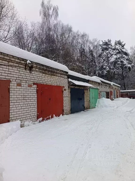 Гараж в Московская область, Щелково Щелково-3 мкр,  (24 м) - Фото 1