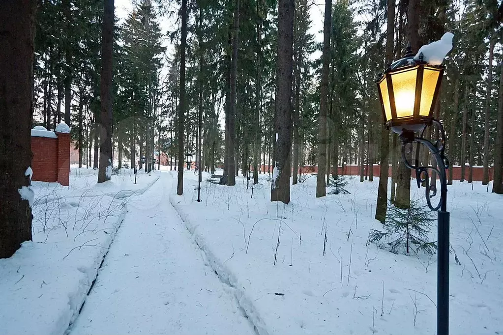 Участок 1,45 га (ИЖС) - Фото 1