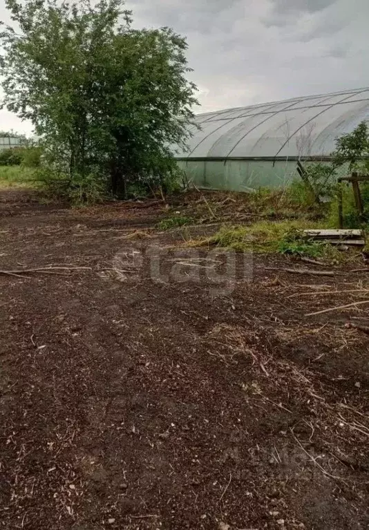 Дом в Ростовская область, Багаевская ст-ца ул. Свободы (60 м) - Фото 1