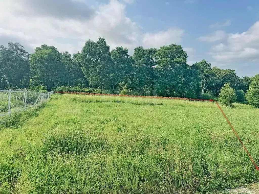 Участок в Приморский край, Надеждинский район, Камелия СНТ  (10.0 ... - Фото 0