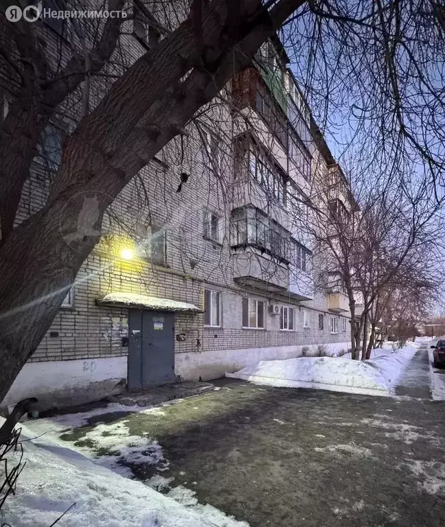 1-комнатная квартира: Курган, посёлок Керамзитный, 7 (21.2 м) - Фото 1