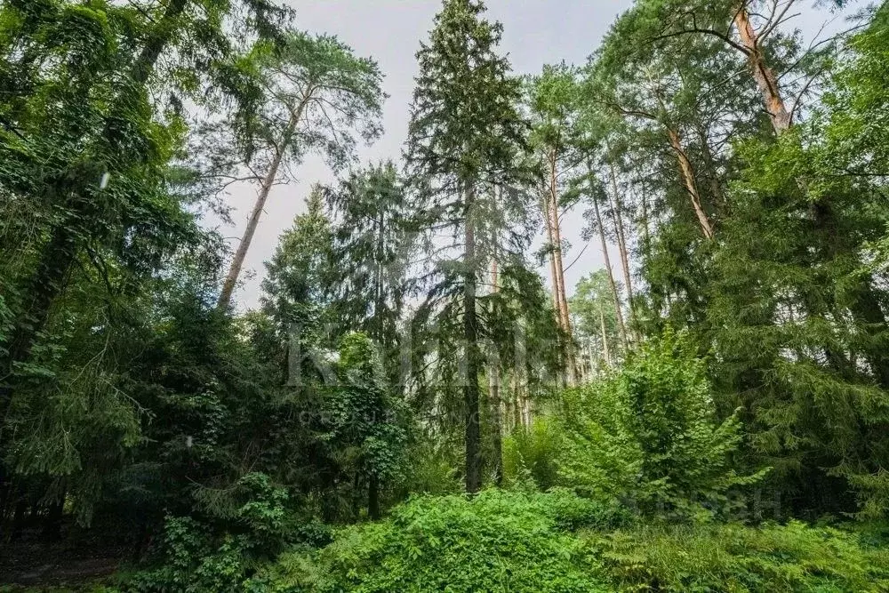 Участок в Московская область, Истра муниципальный округ, д. Чесноково, ... - Фото 1