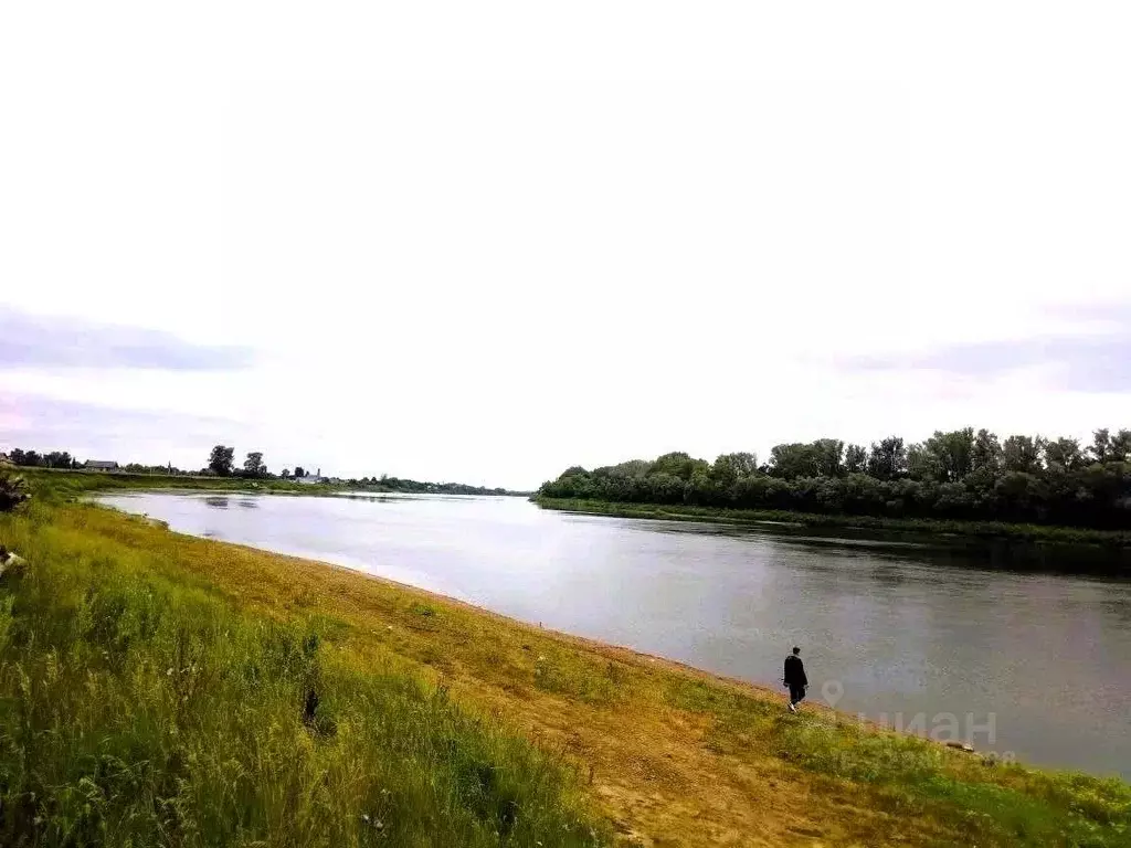 Участок в Башкортостан, Нуримановский район, Красногорский сельсовет, ... - Фото 1