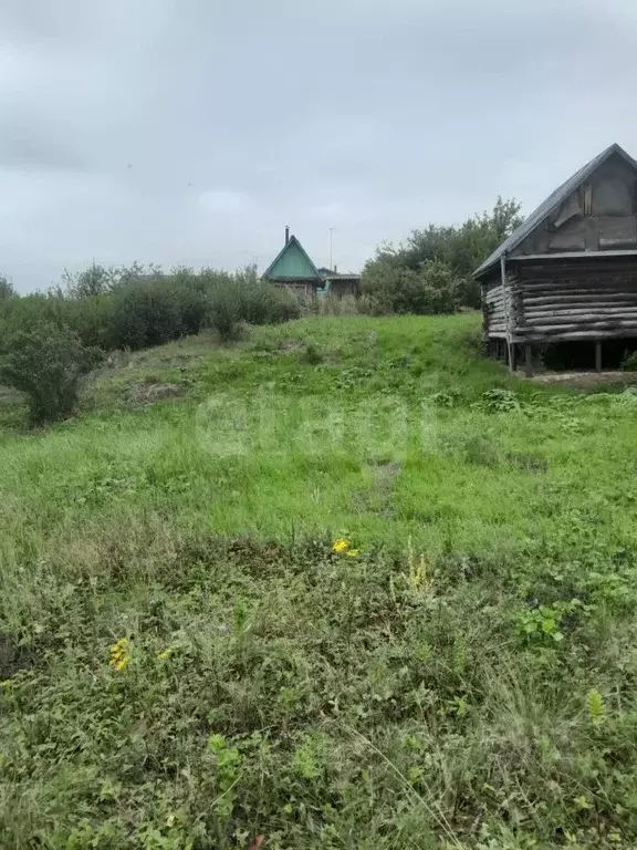 Участок в Башкортостан, Уфа ВНЗМ СДТ, 125 (8.0 сот.) - Фото 1