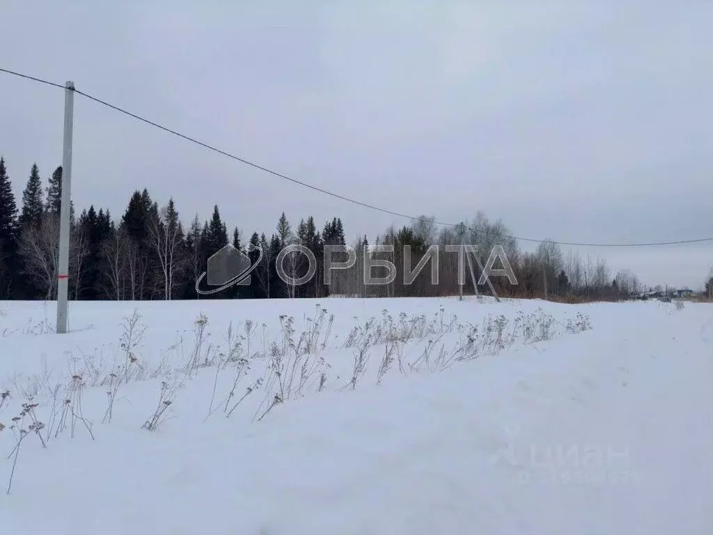 Участок в Тюменская область, Тюменский район, д. Есаулова ул. Гайдара, ... - Фото 0