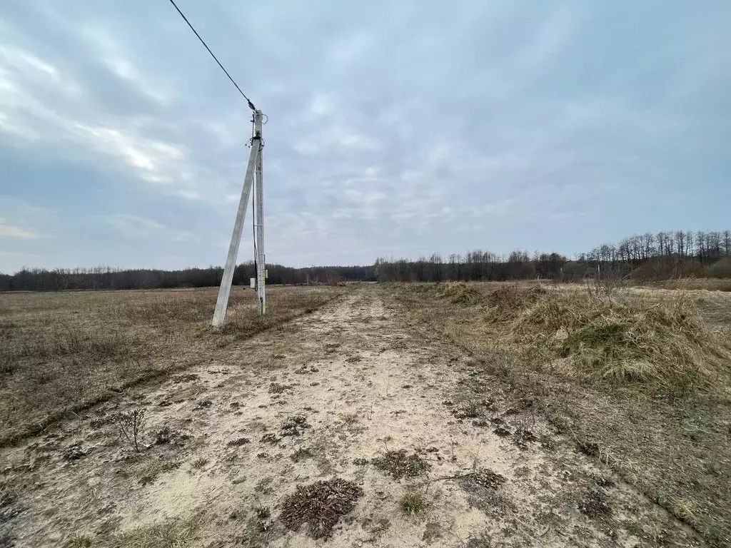 Участок в Калининградская область, Багратионовский муниципальный ... - Фото 1