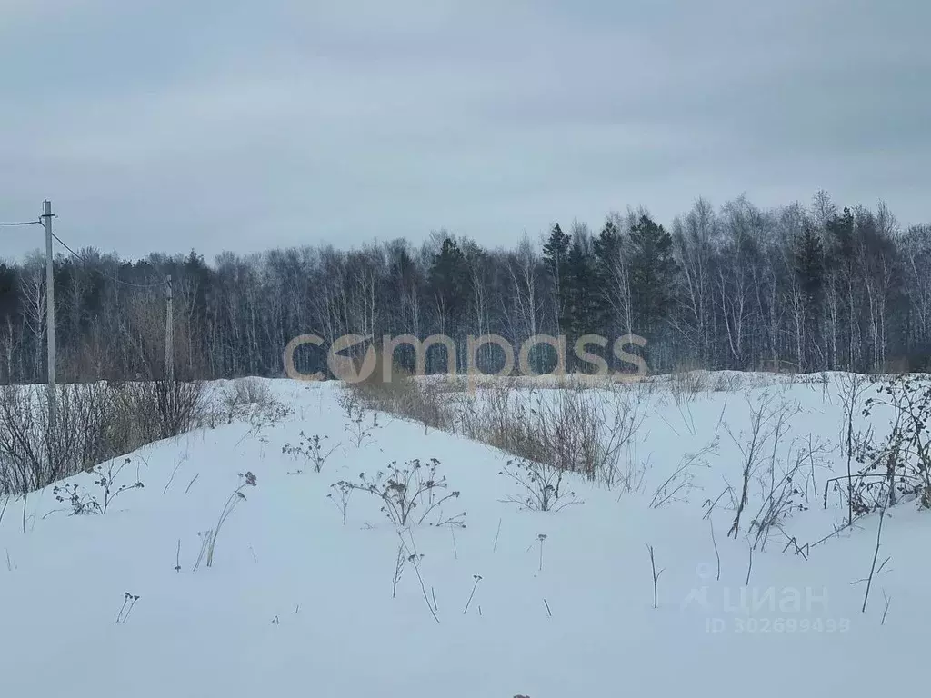 Участок в Тюменская область, Тюменский район, с. Кулига  (11.2 сот.) - Фото 1