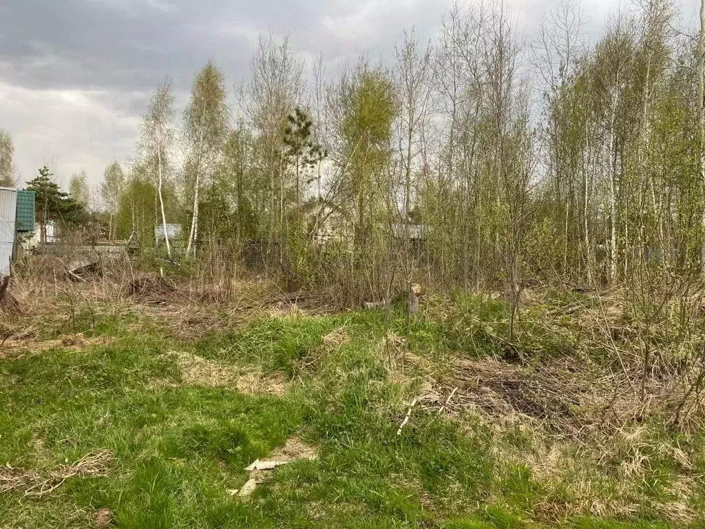 Участок в Московская область, Орехово-Зуевский городской округ, пос. ... - Фото 0