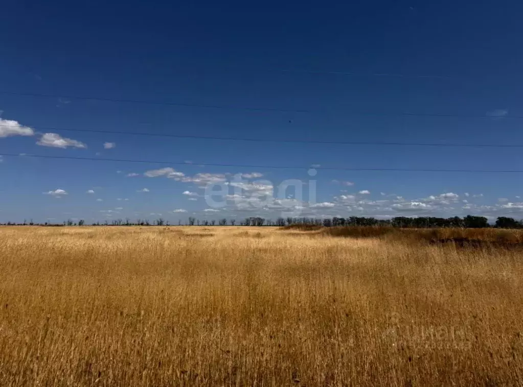 Участок в Крым, Симферопольский район, Николаевское с/пос, с. ... - Фото 2