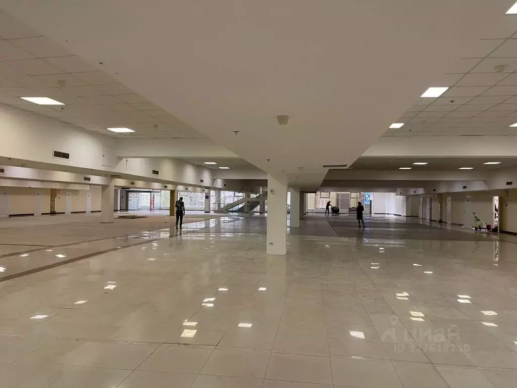 Торговая площадь в Санкт-Петербург Новолитовская ул., 15 (1450 м) - Фото 1