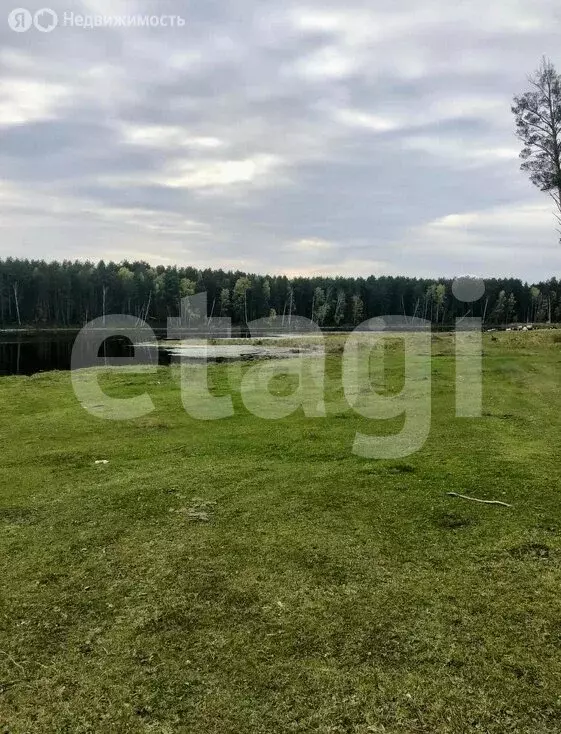 Участок в Ордынский район, село Вагайцево (6212.12 м) - Фото 2